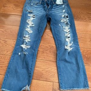 AE Artist Crop Jeans